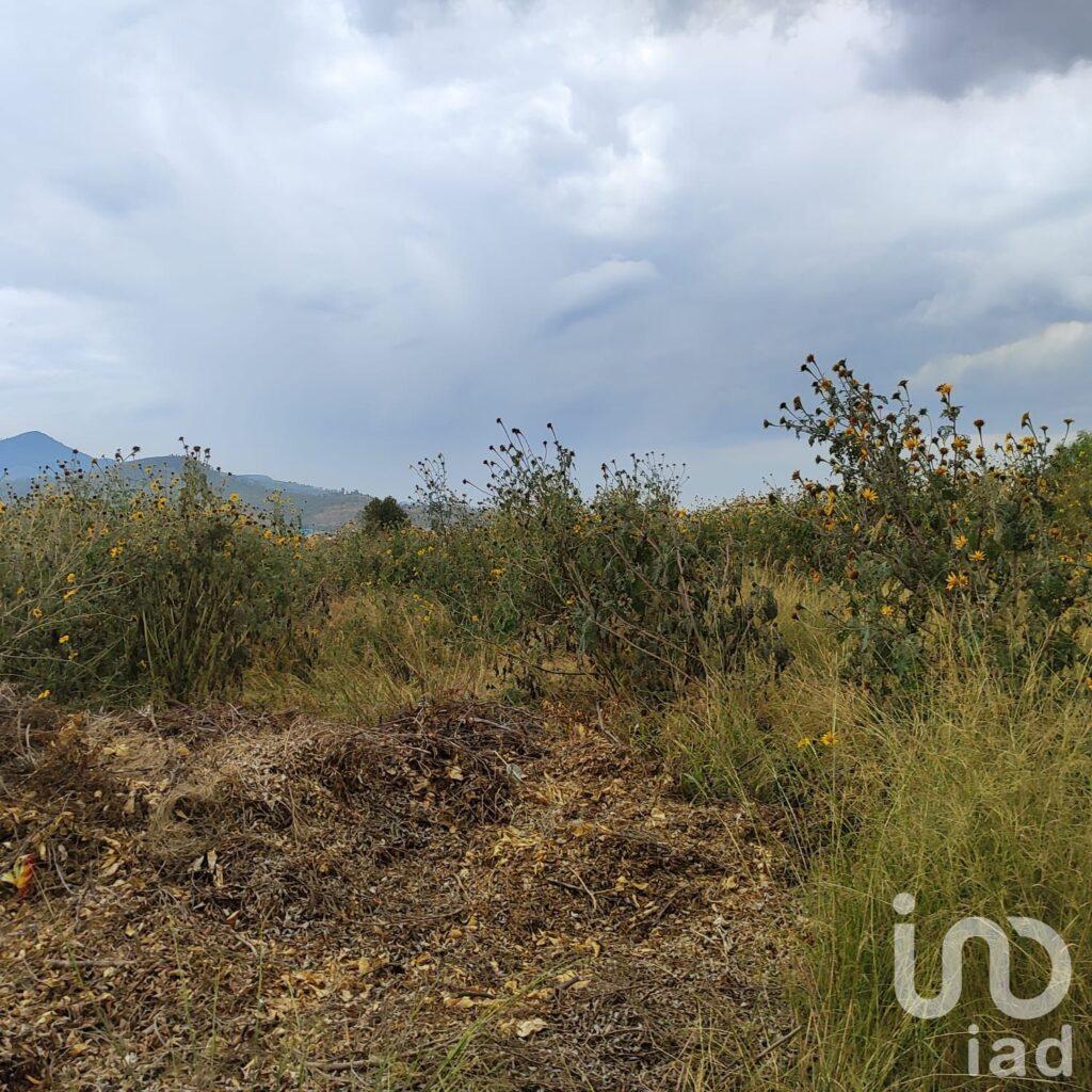 TERRENO EN VENTA COACALCO PARCELA EJIDO DE COACALCO