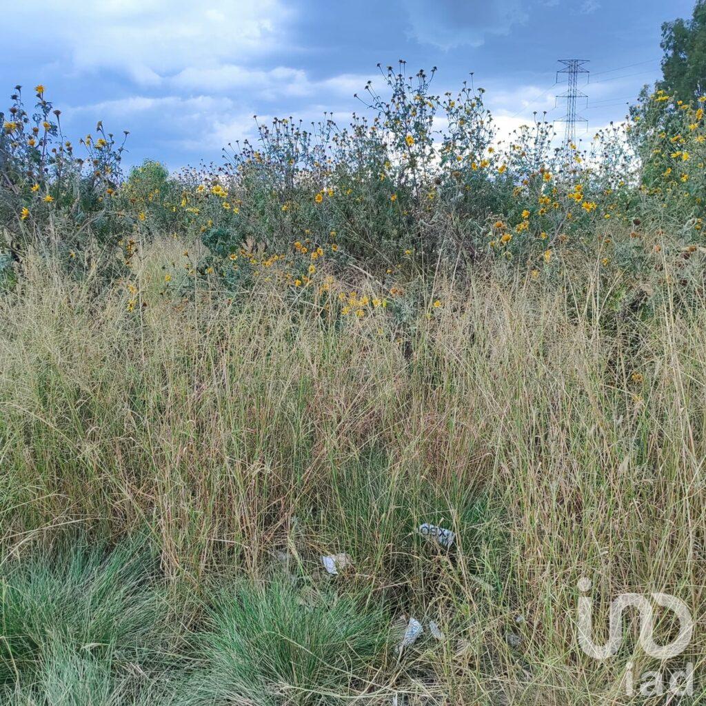 TERRENO EN VENTA COACALCO PARCELA EJIDO DE COACALCO