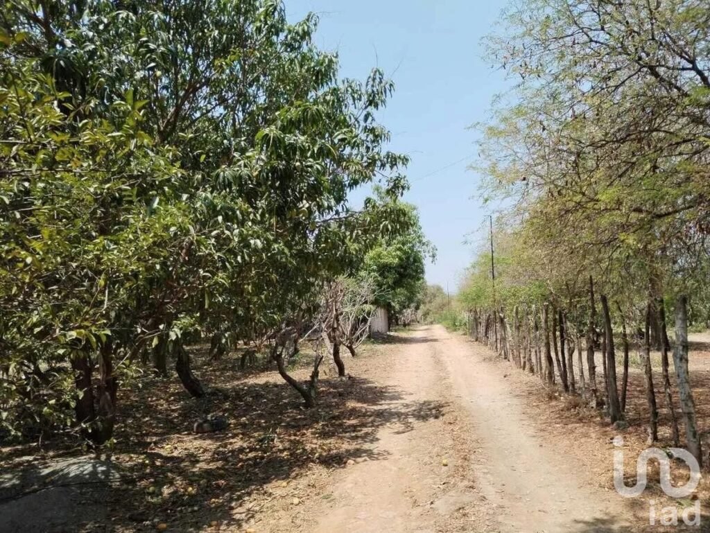 TERRENO EN VENTA EN  CHIAPA DE CORZO IDEAL PARA SUBDIVIDIR EN LOTES