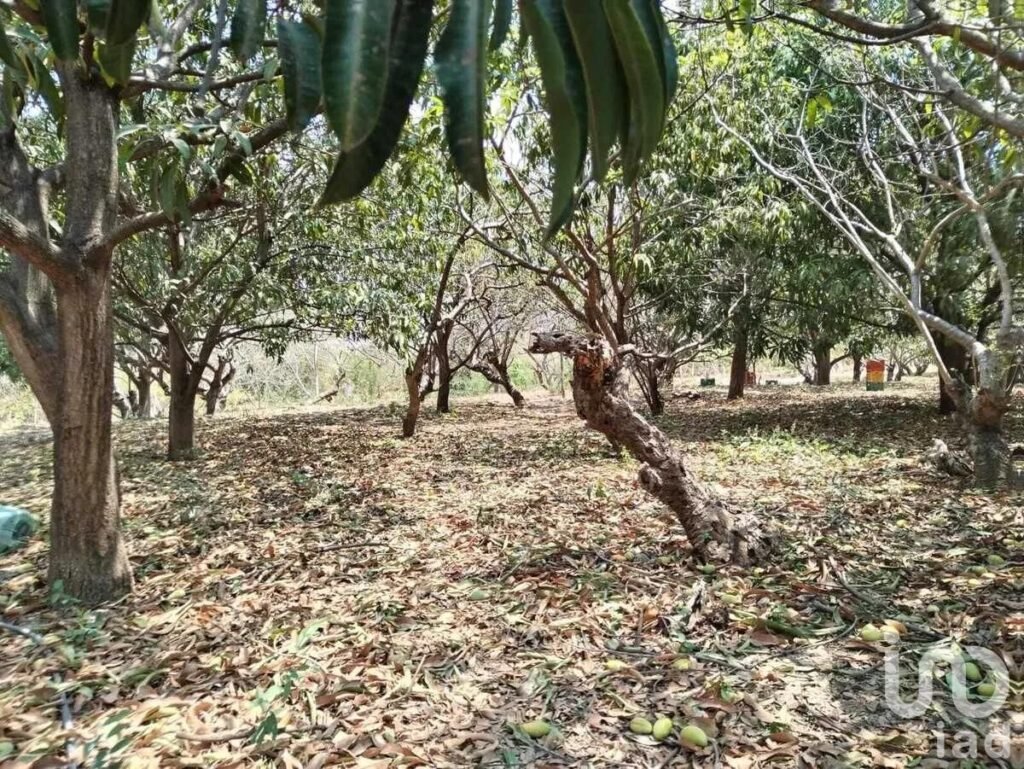 TERRENO EN VENTA EN  CHIAPA DE CORZO IDEAL PARA SUBDIVIDIR EN LOTES