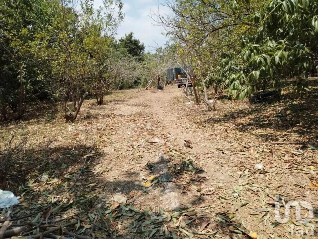 TERRENO EN VENTA EN  CHIAPA DE CORZO IDEAL PARA SUBDIVIDIR EN LOTES