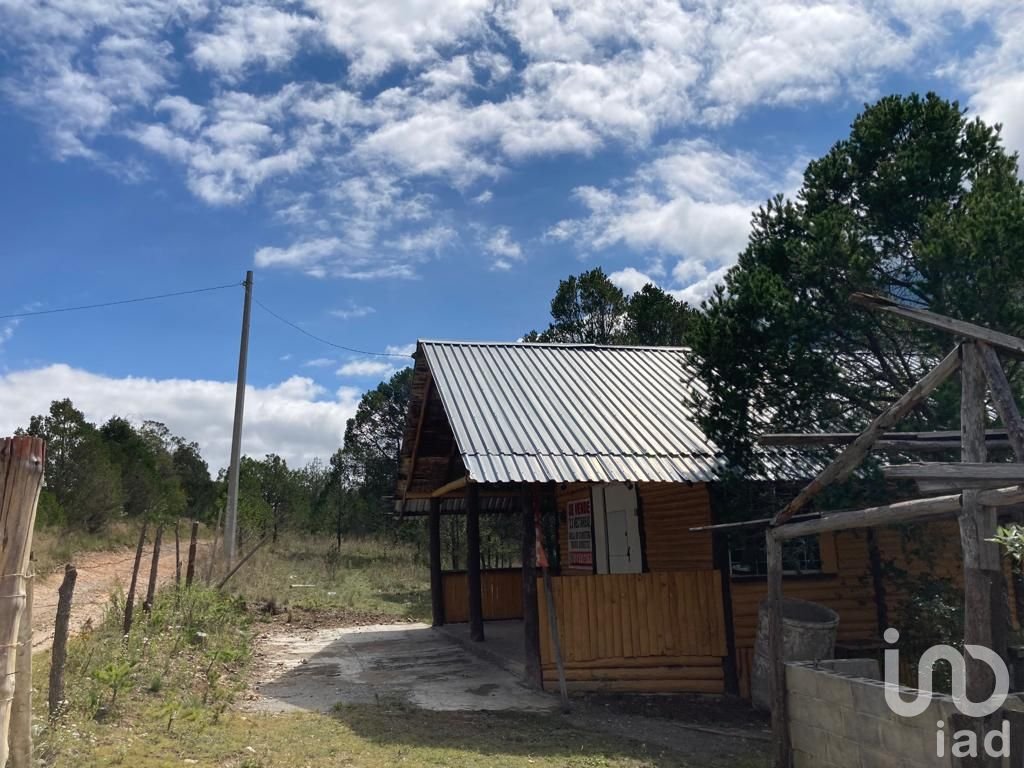 TERRENO RUSTICO LOS LIRIOS, ARTEAGA COAHUILA