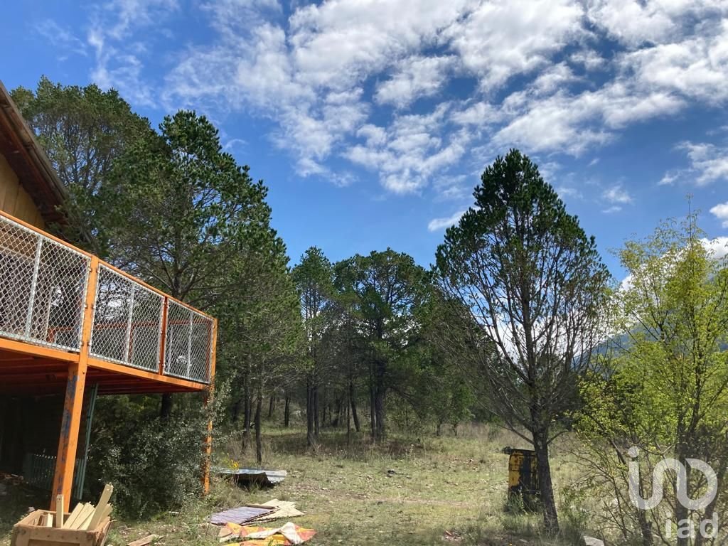 TERRENO RUSTICO LOS LIRIOS, ARTEAGA COAHUILA