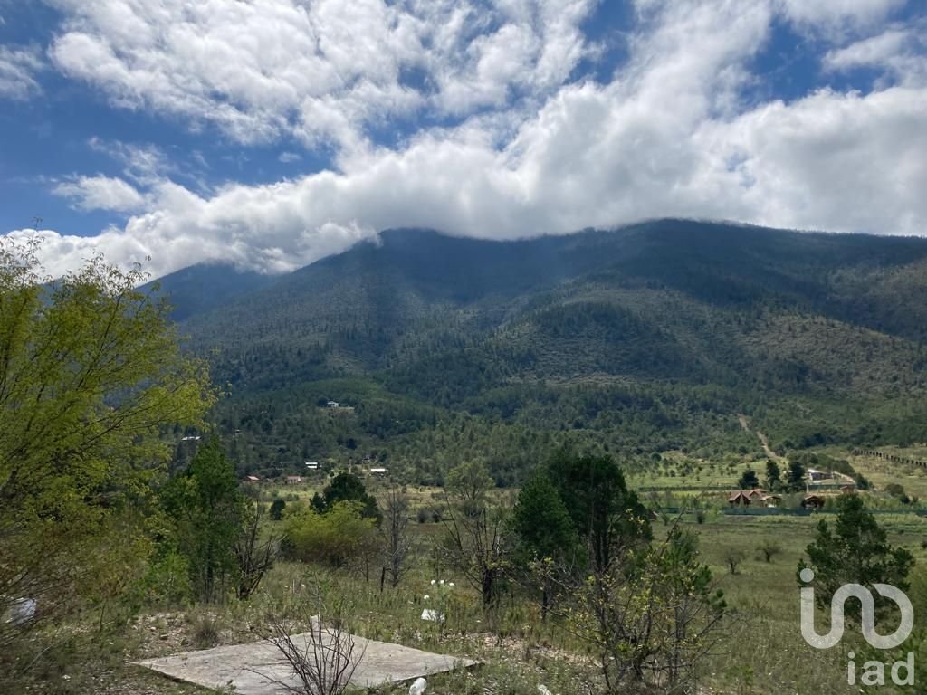 TERRENO RUSTICO LOS LIRIOS, ARTEAGA COAHUILA