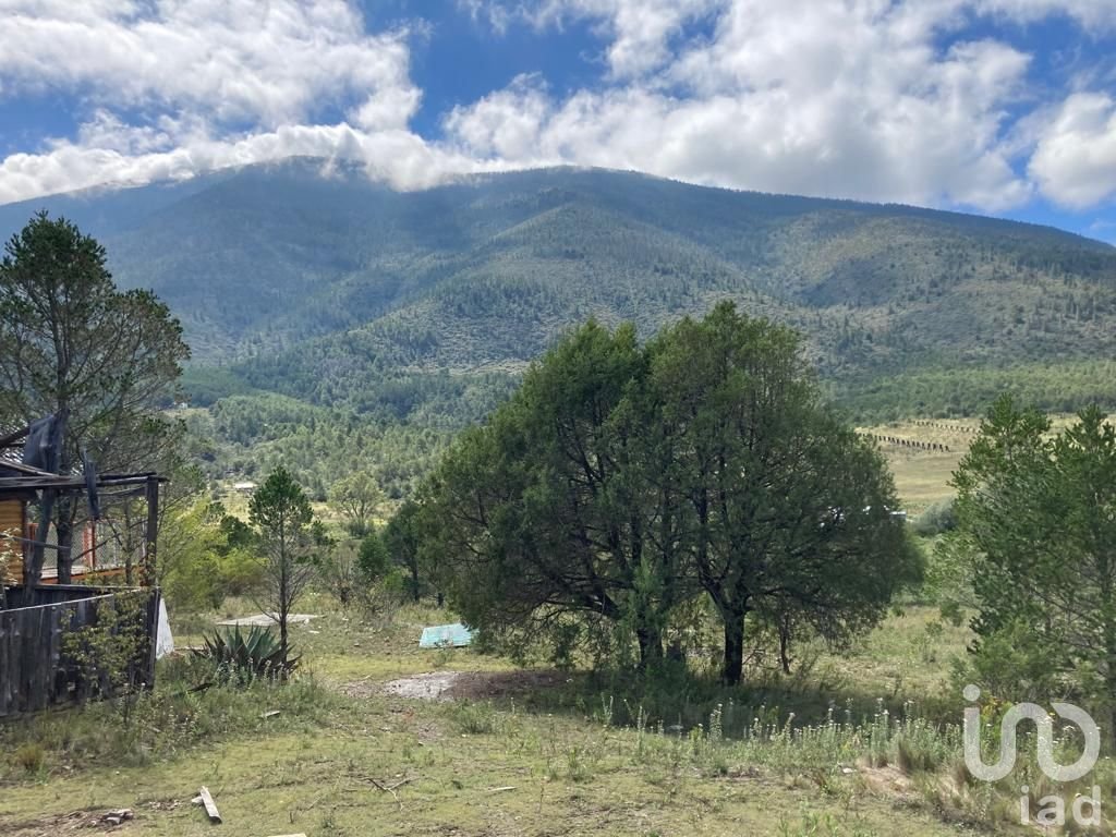 TERRENO RUSTICO LOS LIRIOS, ARTEAGA COAHUILA