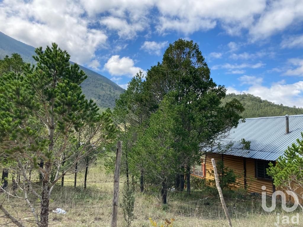 TERRENO RUSTICO LOS LIRIOS, ARTEAGA COAHUILA