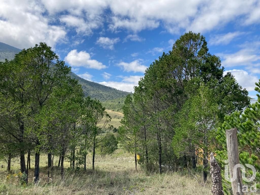 TERRENO RUSTICO LOS LIRIOS, ARTEAGA COAHUILA