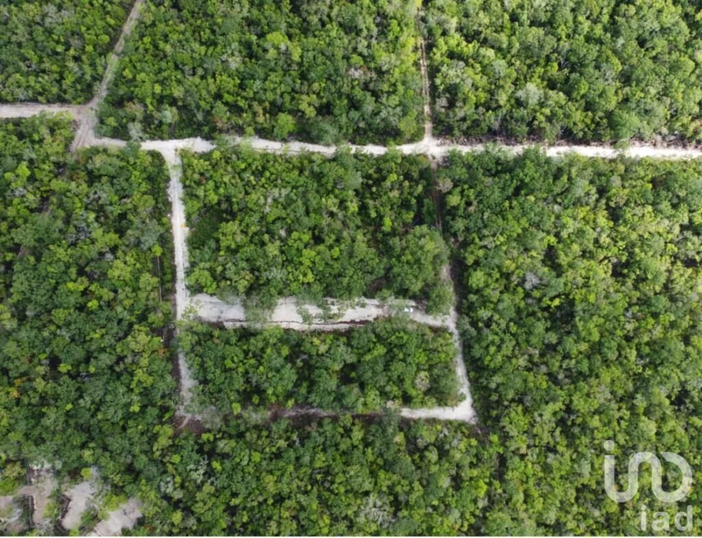 Terreno Lote 001 Región 15 Tulum