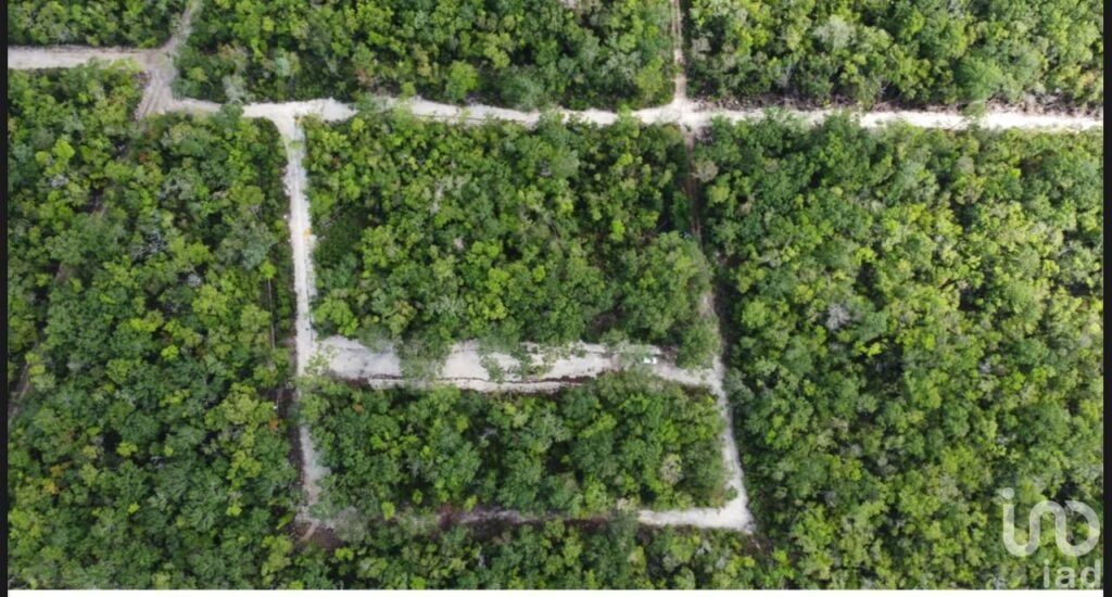Terreno Lote 4 Región 15 Tulum