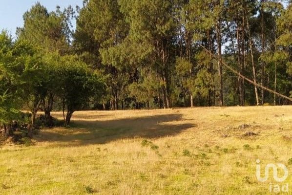 Terreno en Venta en Avándaro, Estado de México