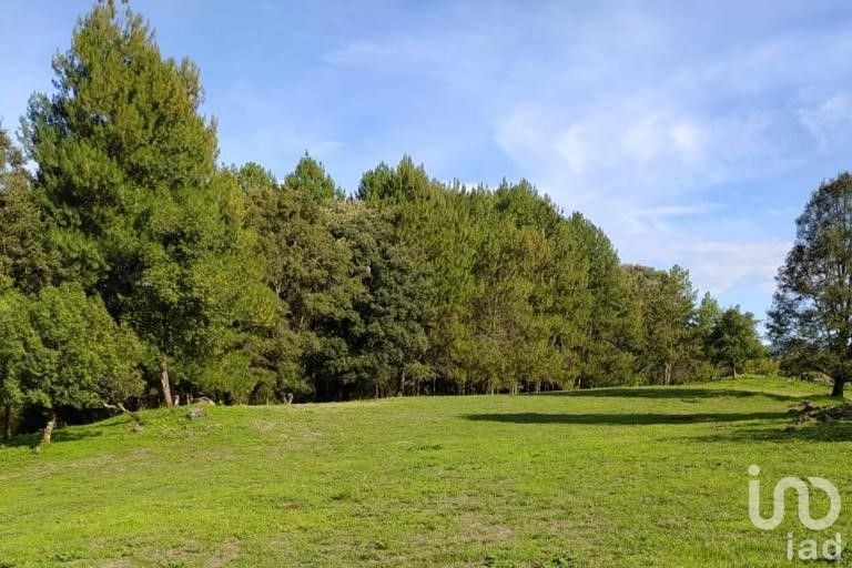 Terreno en Venta en Avándaro, Estado de México