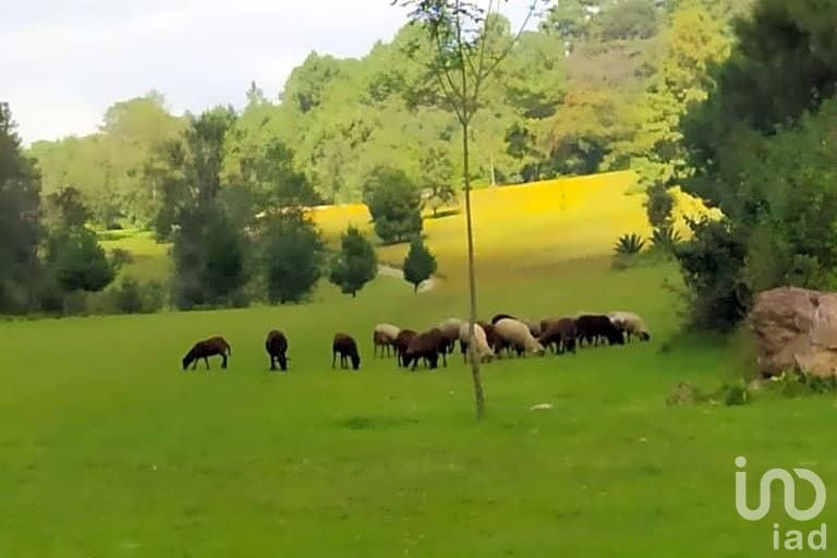 Terreno en Venta en Avándaro, Estado de México