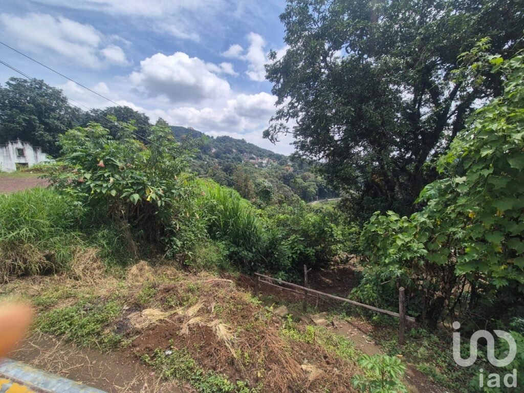 TERRENO EN VENTA, OTILPAN,MPIO. TLANEHUAYOCAN,VER..