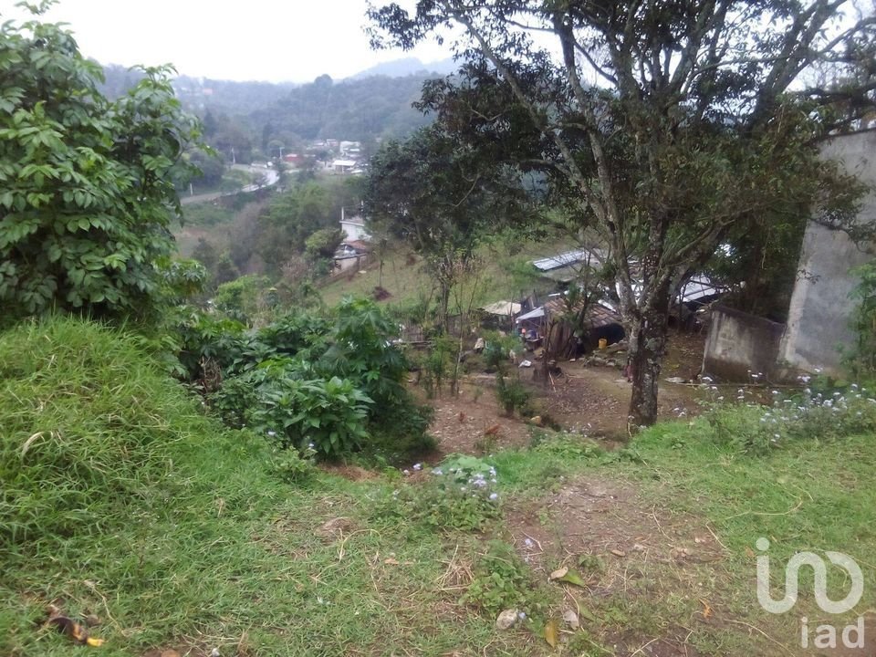 TERRENO EN VENTA, OTILPAN,MPIO. TLANEHUAYOCAN,VER..