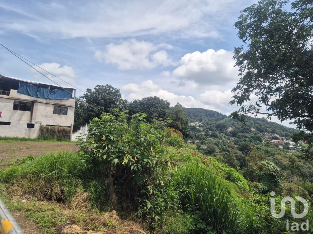 TERRENO EN VENTA, OTILPAN,MPIO. TLANEHUAYOCAN,VER..