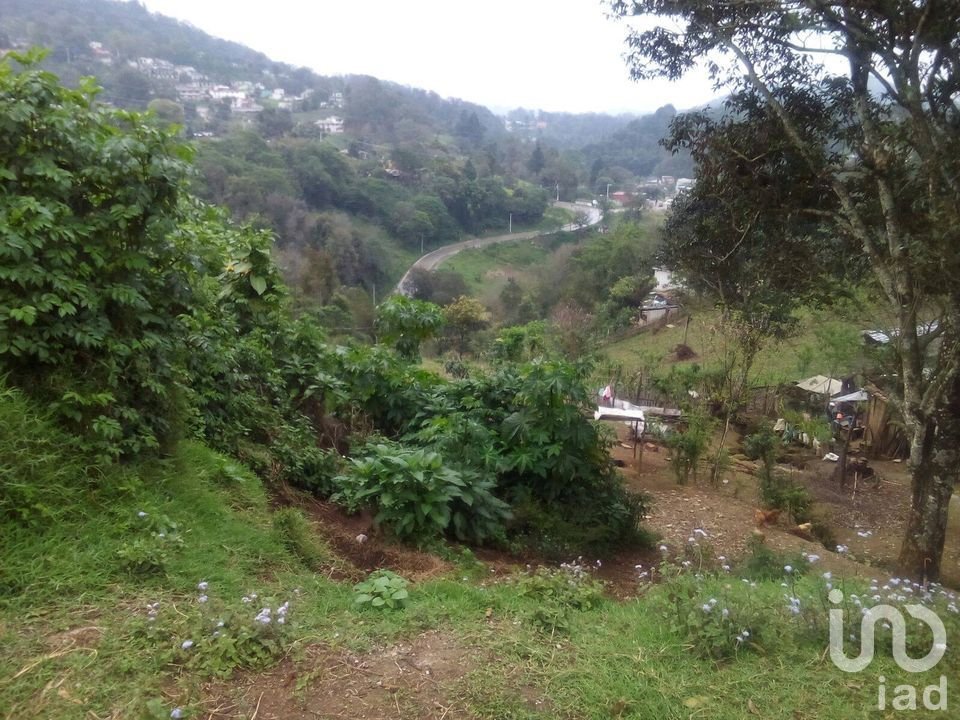 TERRENO EN VENTA, OTILPAN,MPIO. TLANEHUAYOCAN,VER..
