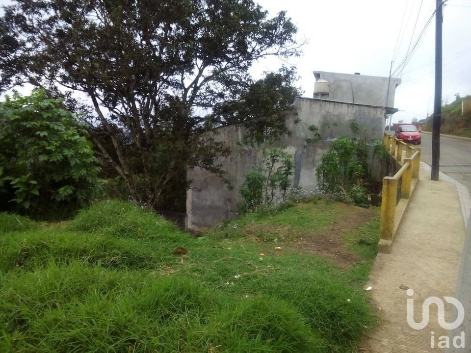 TERRENO EN VENTA, OTILPAN,MPIO. TLANEHUAYOCAN,VER..
