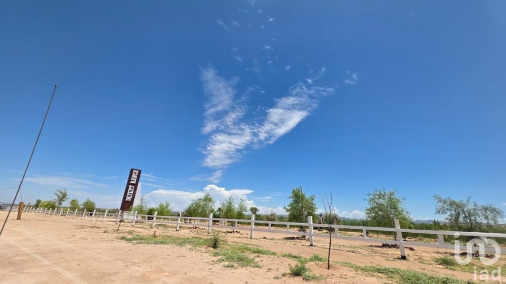 TERRENOS CAMPESTRES  ESCRITURABLES EN SAMALAYUCA