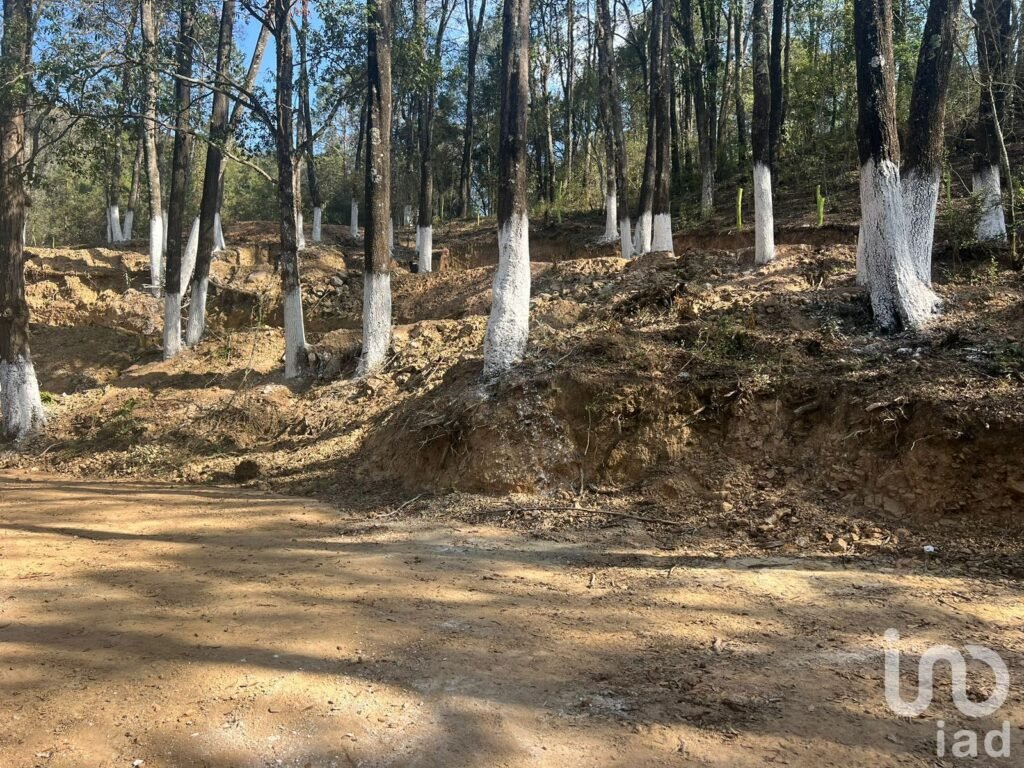 VENTA DE TERRENO EN OMITLAN DE JUAREZ, HGO