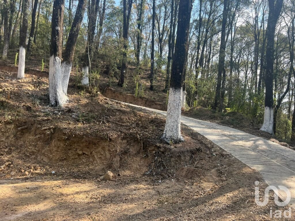 VENTA DE TERRENO EN OMITLAN DE JUAREZ, HGO