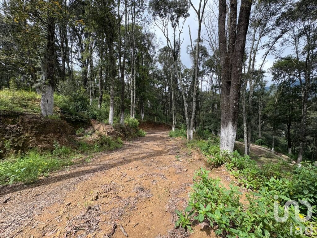 VENTA DE TERRENO EN OMITLAN DE JUAREZ, HGO
