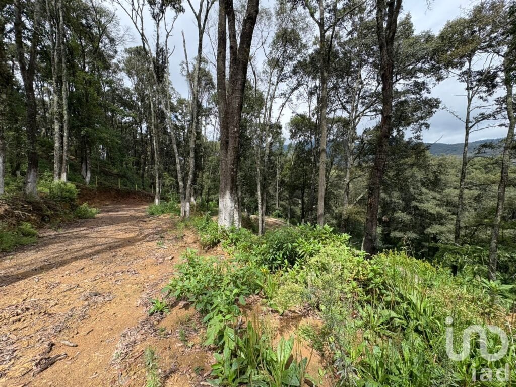 VENTA DE TERRENO EN OMITLAN DE JUAREZ, HGO