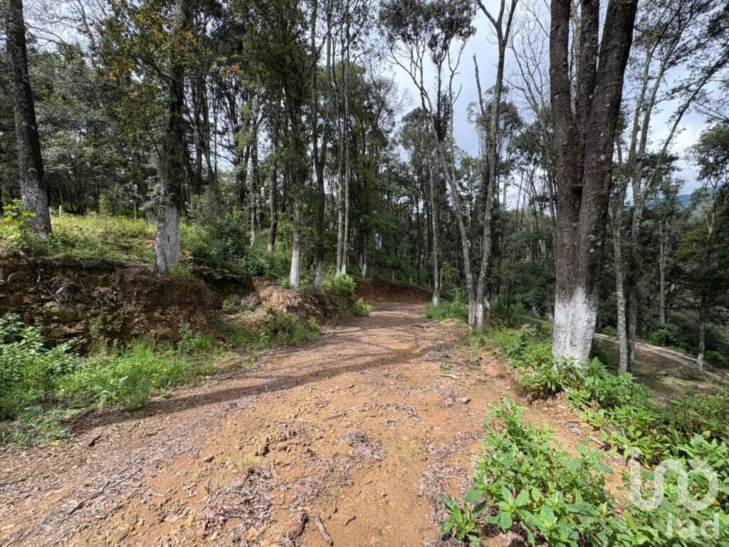 VENTA DE TERRENO EN OMITLAN DE JUAREZ, HGO