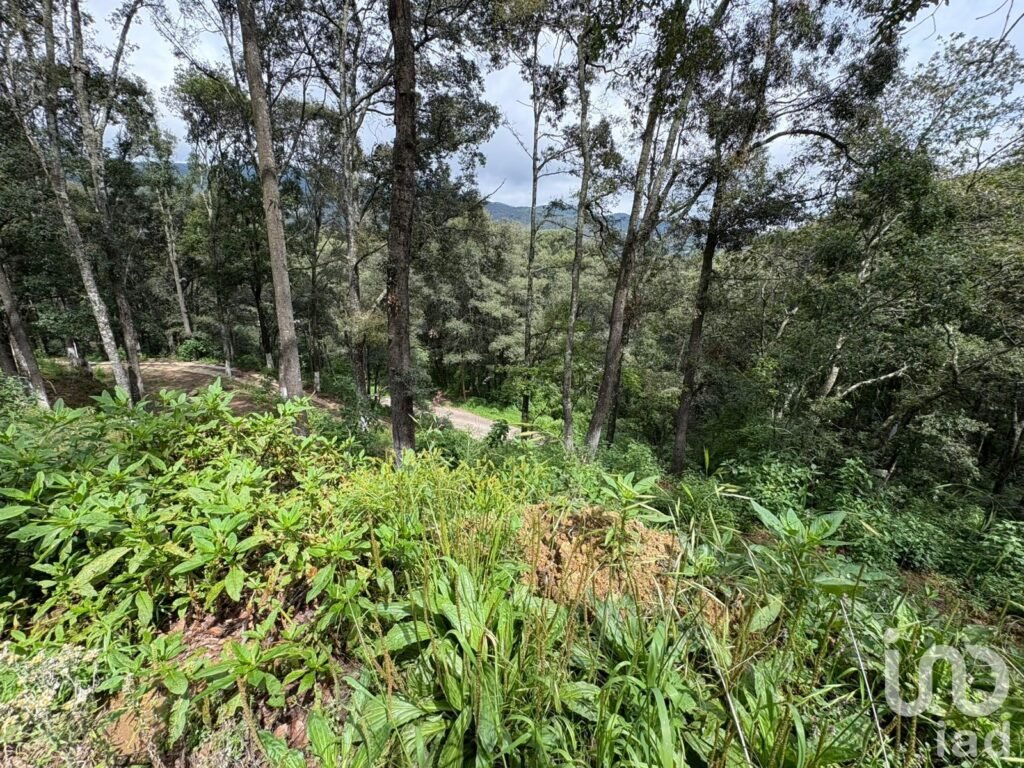 VENTA DE TERRENO EN OMITLAN DE JUAREZ, HGO