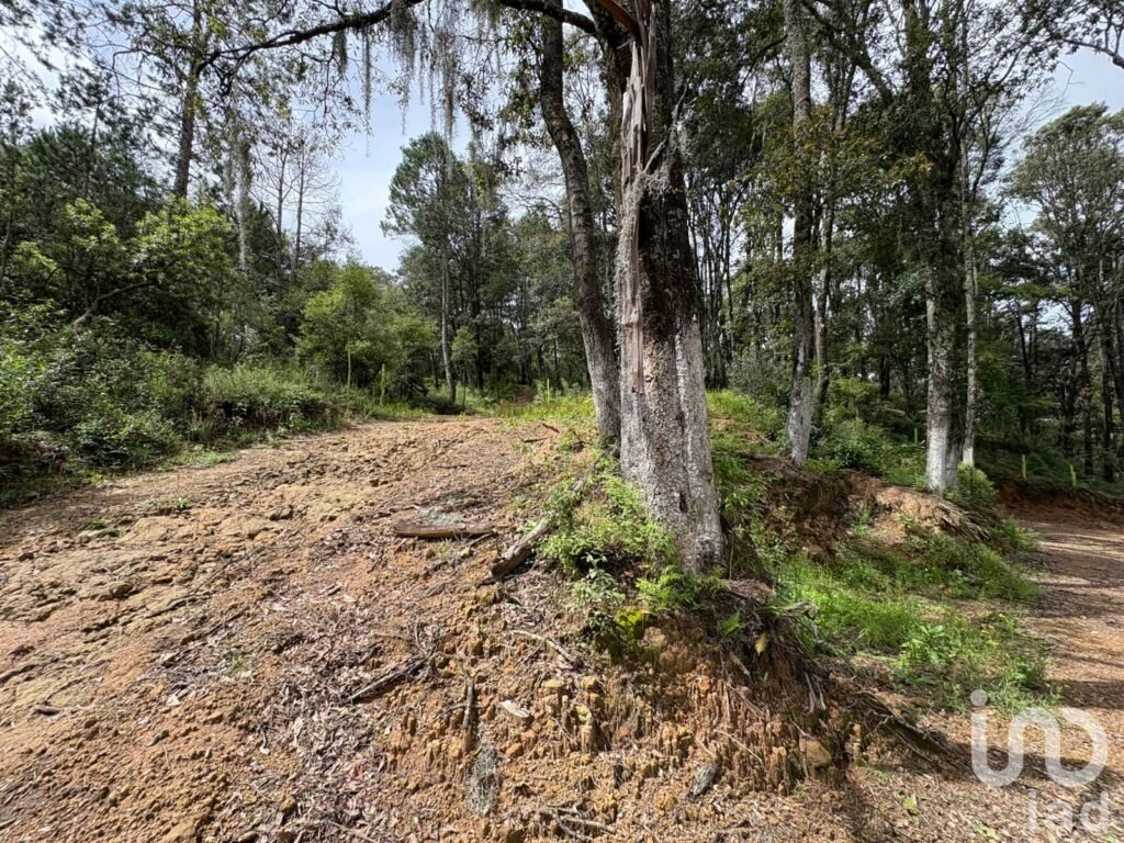 VENTA DE TERRENO EN OMITLAN DE JUAREZ, HGO