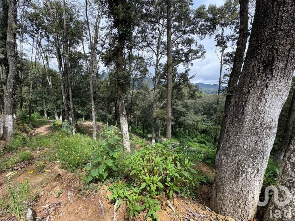 VENTA DE TERRENO EN OMITLAN DE JUAREZ, HGO