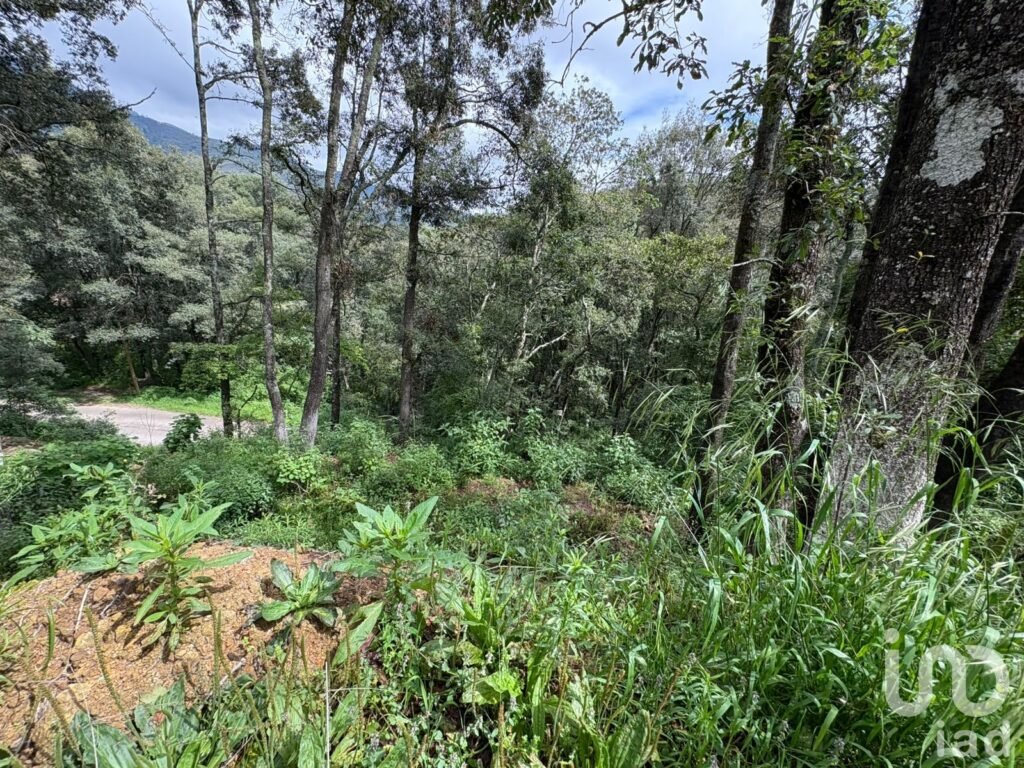 VENTA DE TERRENO EN OMITLAN DE JUAREZ, HGO