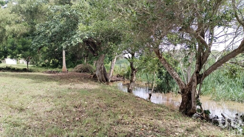 TERRENO PLANO EN VENTA EN LA ANTIGUA VERACRUZ