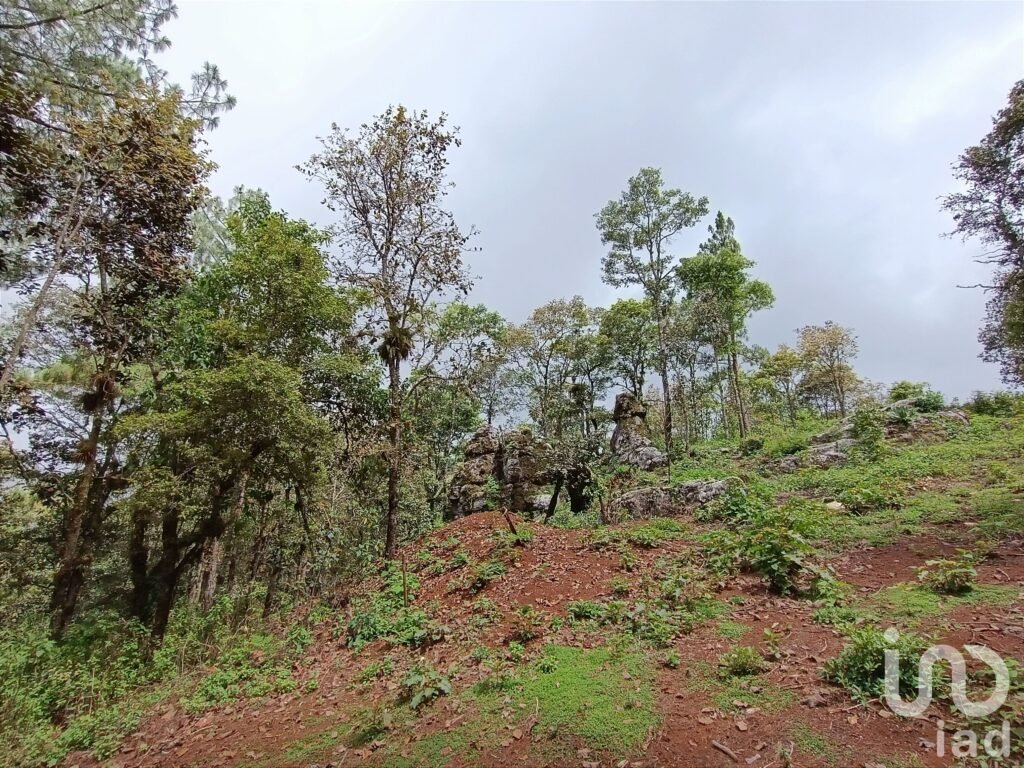 Terreno en venta, Zoológico San José, San Cristóbal de las Casas