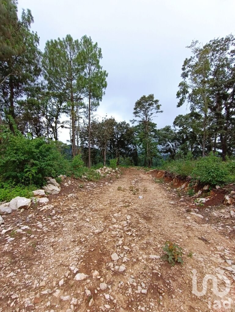 Terreno en venta, Zoológico San José, San Cristóbal de las Casas