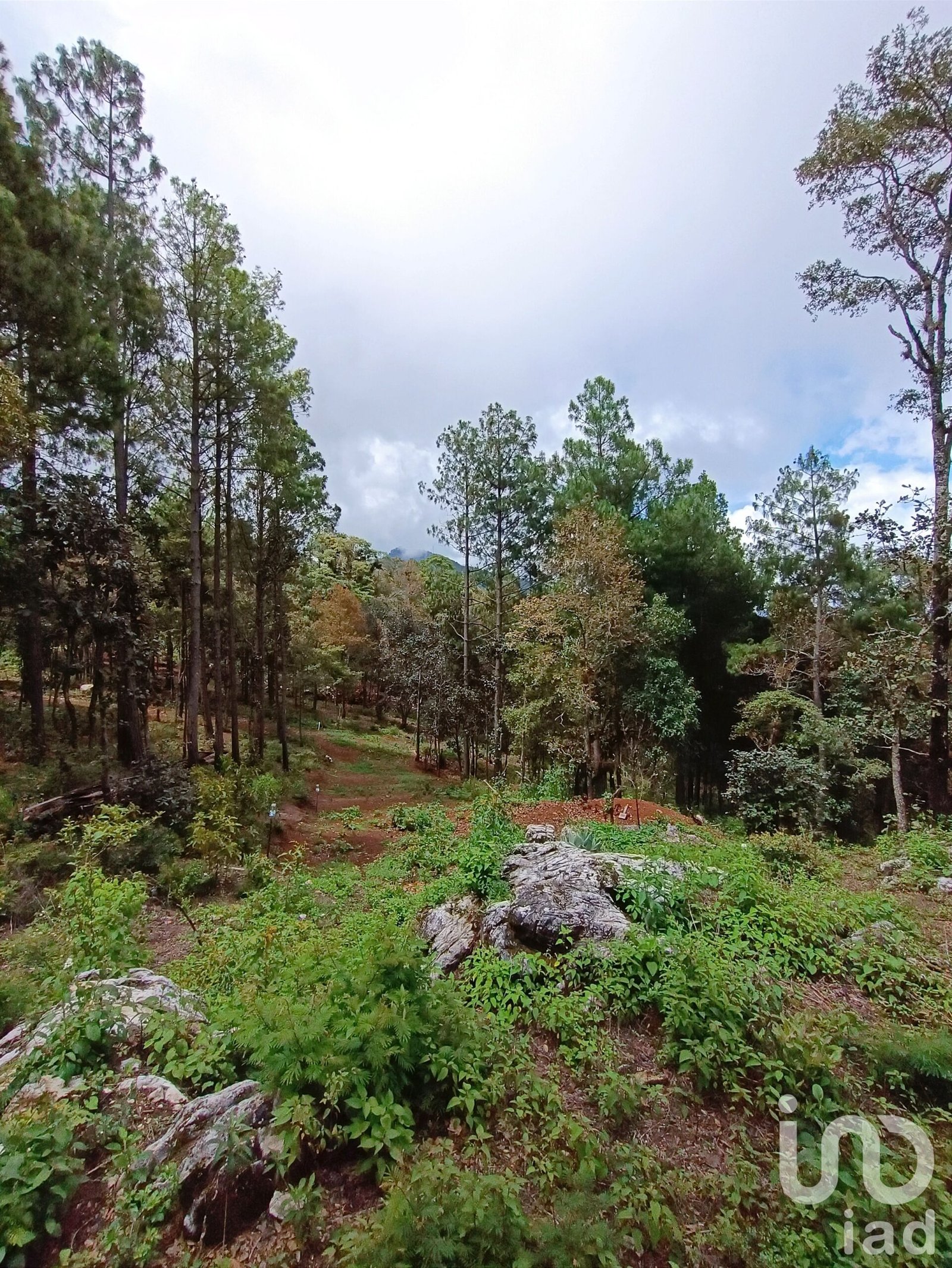 Terreno en venta, Zoológico San José, San Cristóbal de las Casas