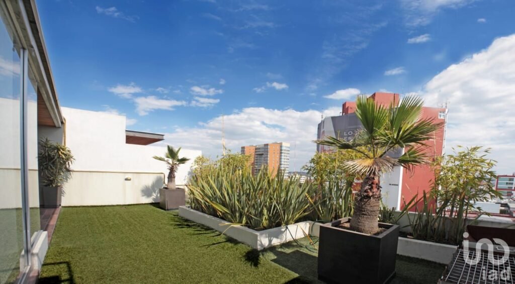 Loft ejecutivo La Juárez Col. La Paz