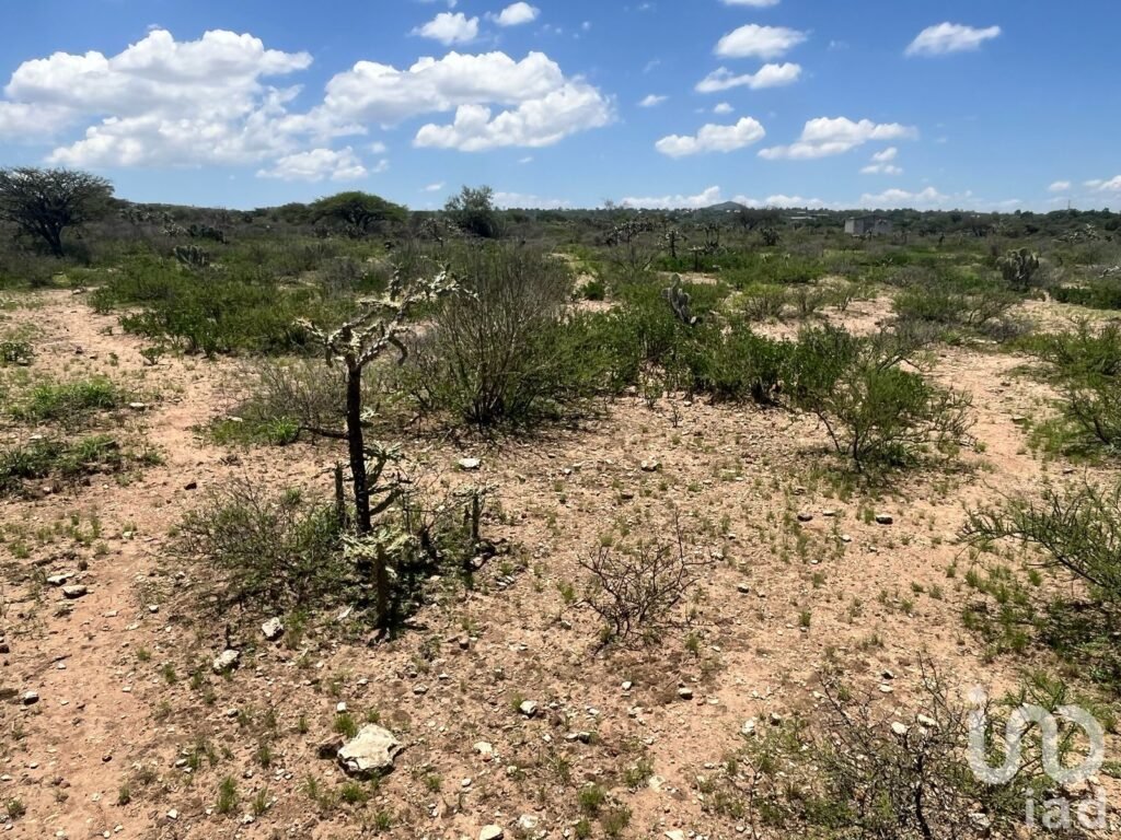 Terreno Vitivinícola/ Industrial En Venta, 4 hectáreas, Ubicado en Ezequiel Montes