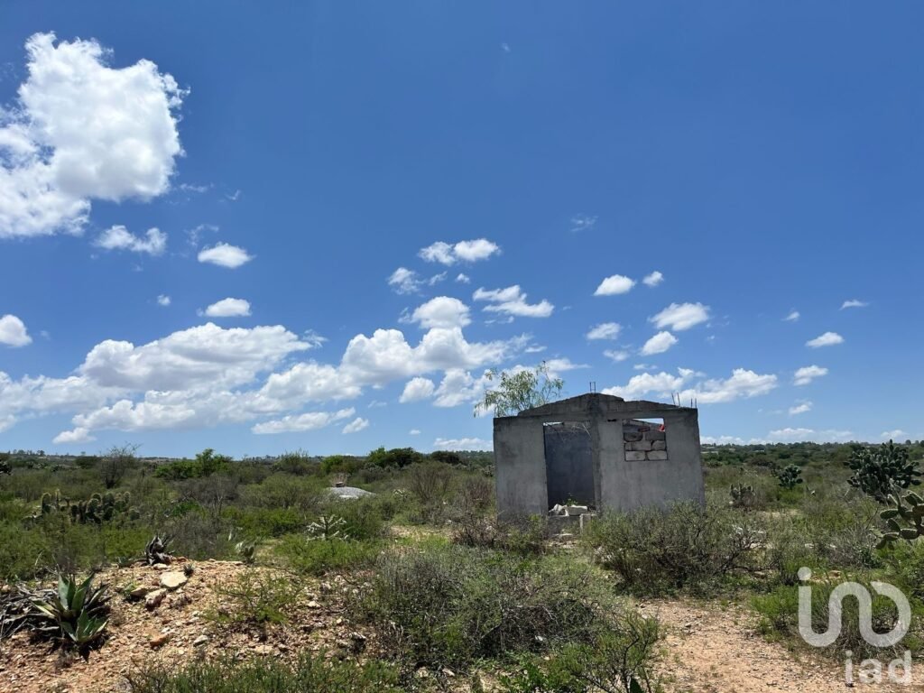 Terreno Vitivinícola/ Industrial En Venta, 4 hectáreas, Ubicado en Ezequiel Montes