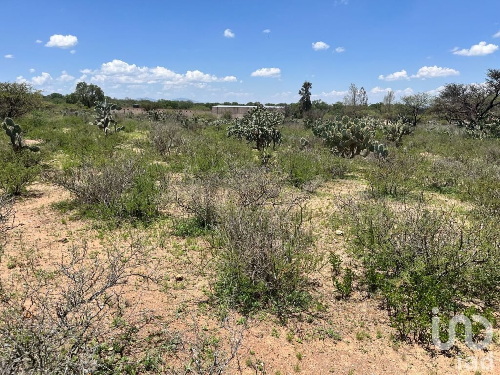 Terreno Vitivinícola/ Industrial En Venta, 4 hectáreas, Ubicado en Ezequiel Montes