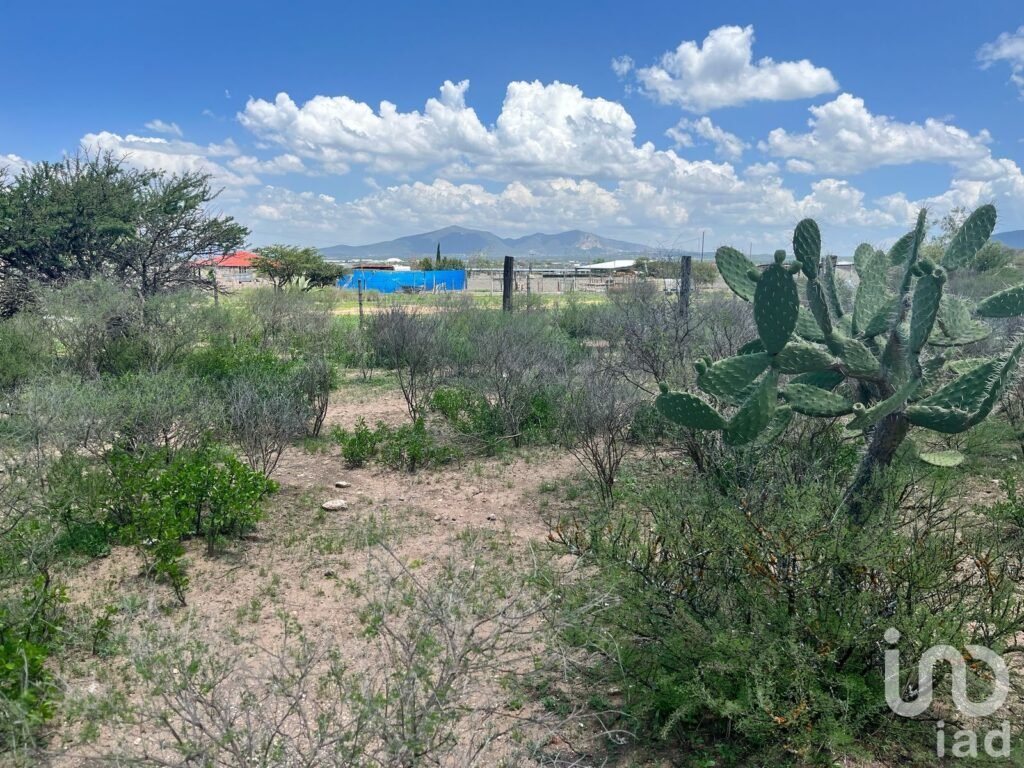 Terreno Vitivinícola/ Industrial En Venta, 4 hectáreas, Ubicado en Ezequiel Montes