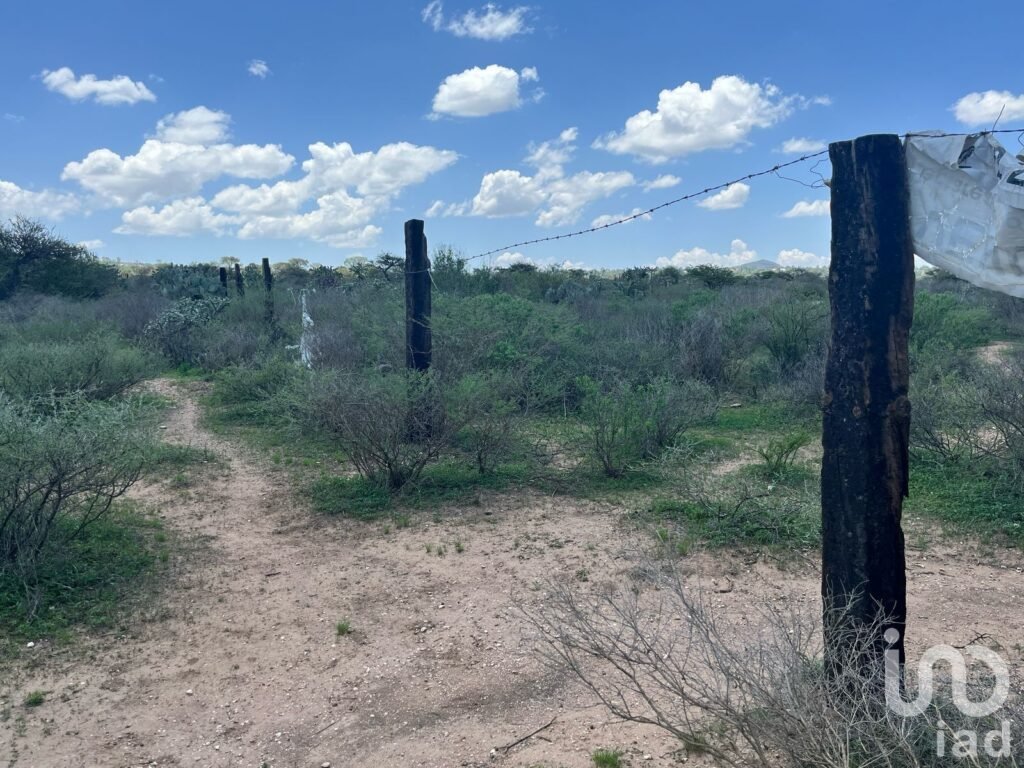 Terreno Vitivinícola/ Industrial En Venta, 4 hectáreas, Ubicado en Ezequiel Montes