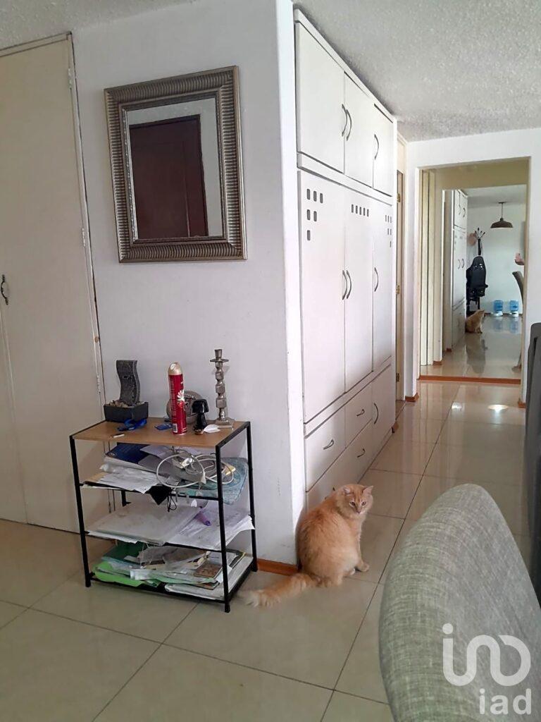 DEPARTAMENTO AMPLIO EN LA COLONIA GIRASOLES, COYOACAN, COAPA