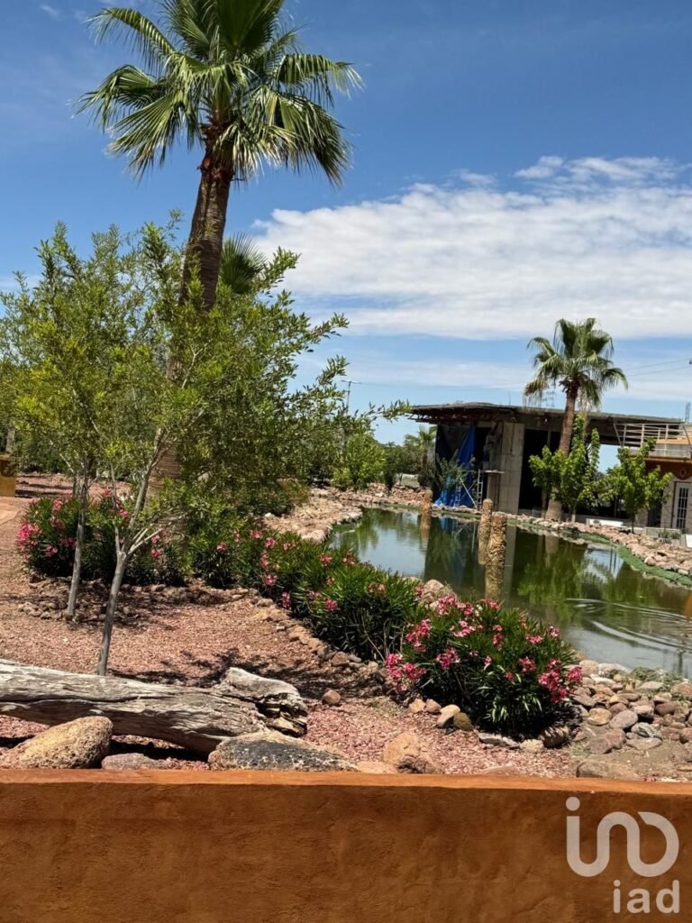 Terrenos en venta en Samalayuca (Con financiamiento directo)