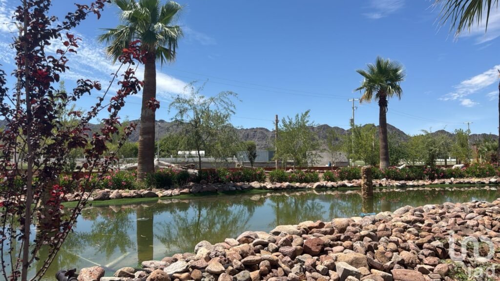 Terrenos en venta en Samalayuca (Con financiamiento directo)