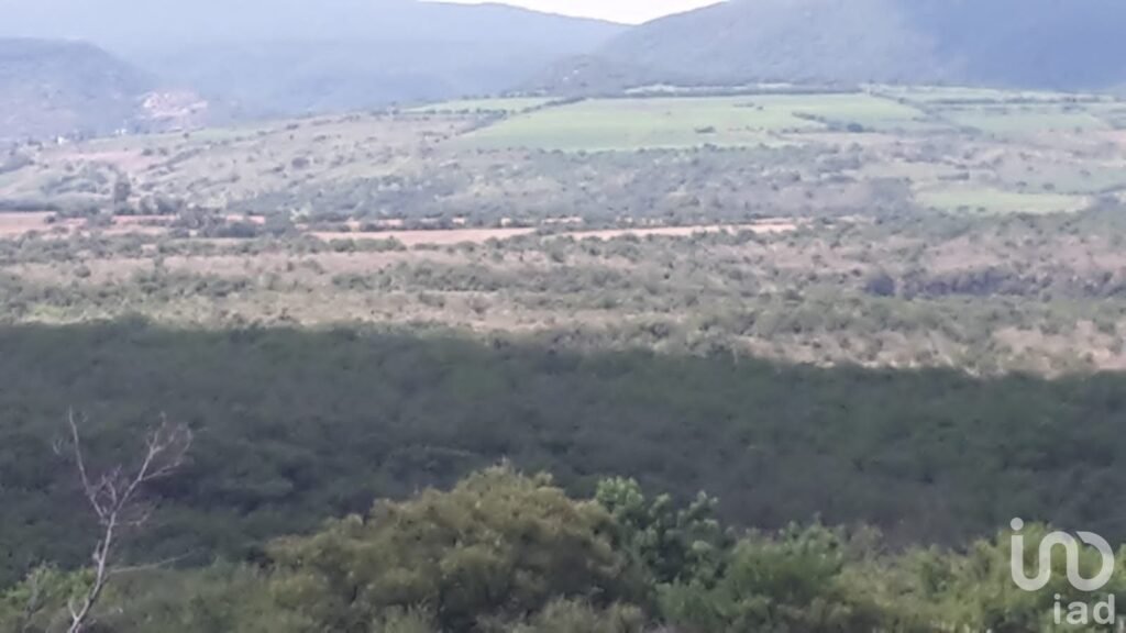 Rancho de 400 hectareas cerca de Irapuato $ 50.00 pesos x m2 EXCELENTE OPORTUNIDAD DE INVERSION