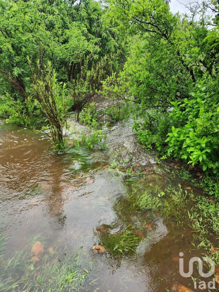 Rancho de 400 hectareas cerca de Irapuato $ 50.00 pesos x m2 EXCELENTE OPORTUNIDAD DE INVERSION