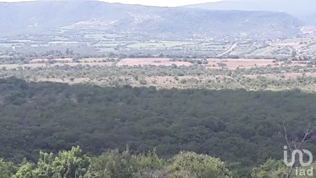 Rancho de 400 hectareas cerca de Irapuato $ 50.00 pesos x m2 EXCELENTE OPORTUNIDAD DE INVERSION
