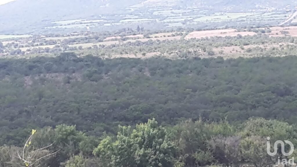 Rancho de 400 hectareas cerca de Irapuato $ 50.00 pesos x m2 EXCELENTE OPORTUNIDAD DE INVERSION
