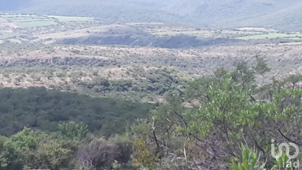Rancho de 400 hectareas cerca de Irapuato $ 50.00 pesos x m2 EXCELENTE OPORTUNIDAD DE INVERSION