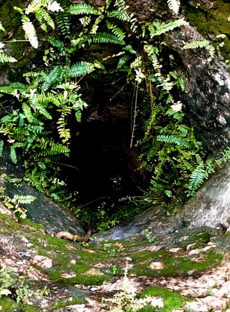 OPORTUNIDAD ÚNICA, 9.6 HECTÁREAS A 12 MINUTOS DE VALLADOLID ¡IDEAL PARA DESARROLLO O INVERSIÓN!